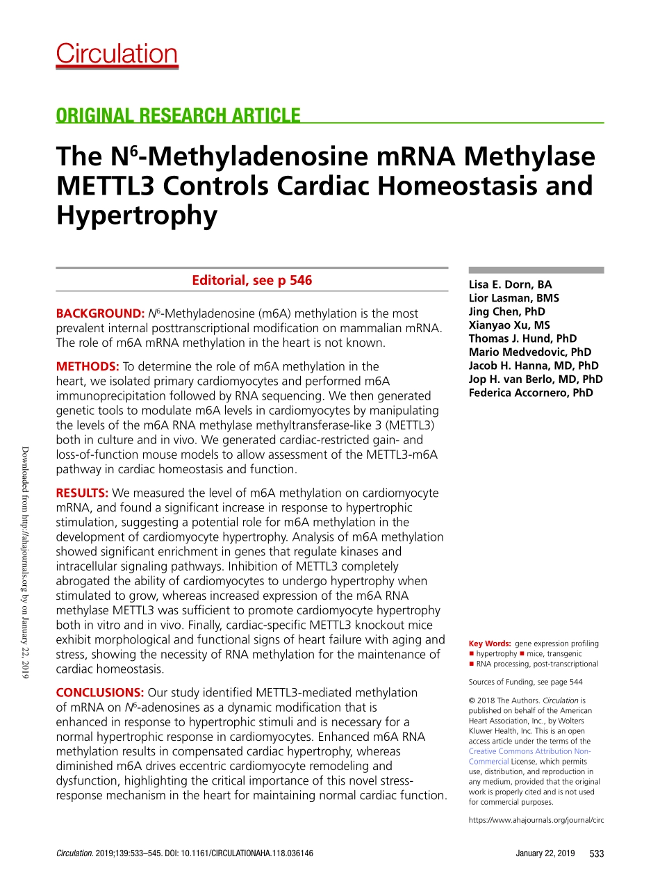 2、Circulation 2019-m6A甲基化酶mettl3控制心脏稳态和肥大.pdf_第1页
