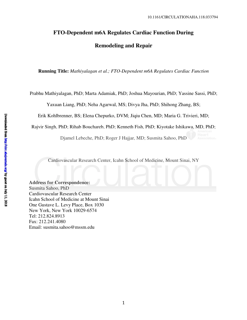 1、Circulation 2019-FTO依赖性m6A在重塑和修复过程中调节心脏功能.pdf_第1页