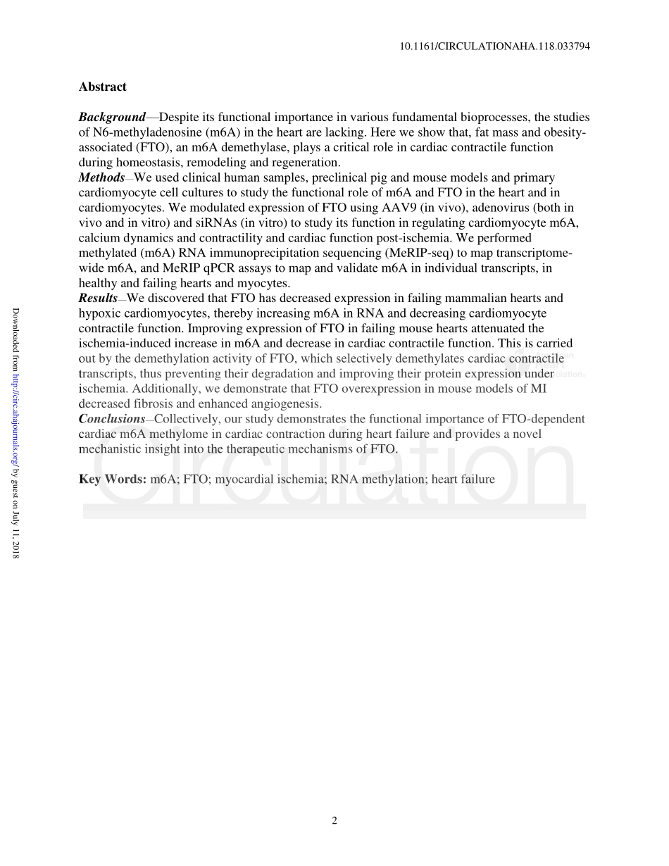1、Circulation 2019-FTO依赖性m6A在重塑和修复过程中调节心脏功能.pdf_第2页