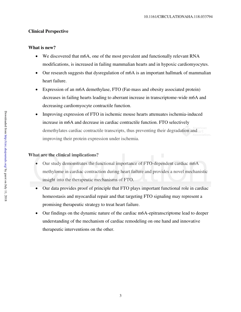 1、Circulation 2019-FTO依赖性m6A在重塑和修复过程中调节心脏功能.pdf_第3页