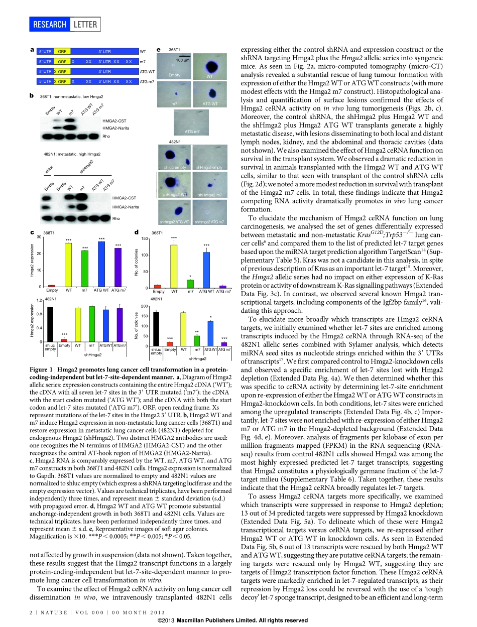 5、Nature 2014-HMGA2作为竞争性内源性RNA促进肺癌进展(1).pdf_第2页
