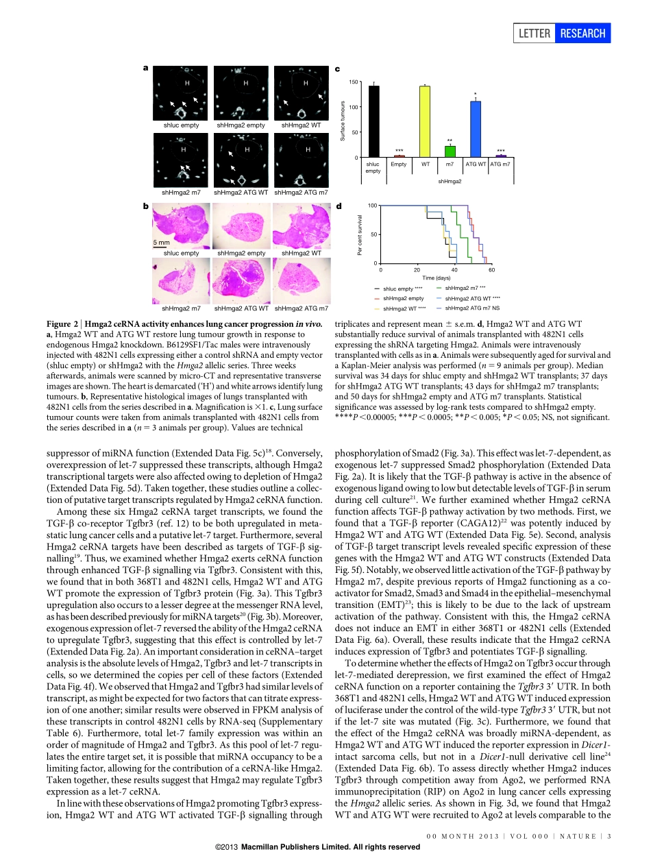 5、Nature 2014-HMGA2作为竞争性内源性RNA促进肺癌进展(1).pdf_第3页