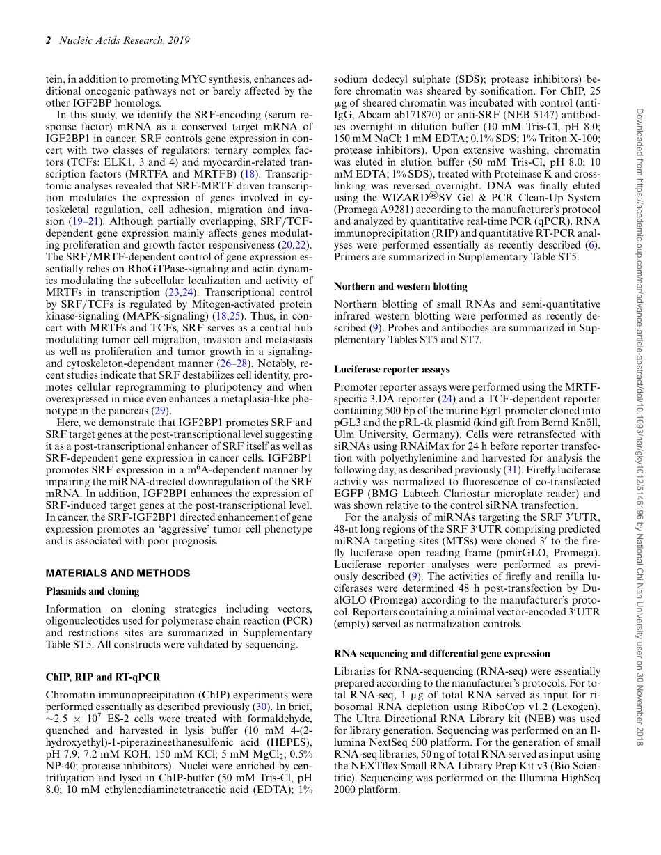 4、Nucleic Acids Res. 2019-IGF2BP1以m6A和miRNA依赖性方式促进癌症中的SRF依赖性转录.pdf_第2页
