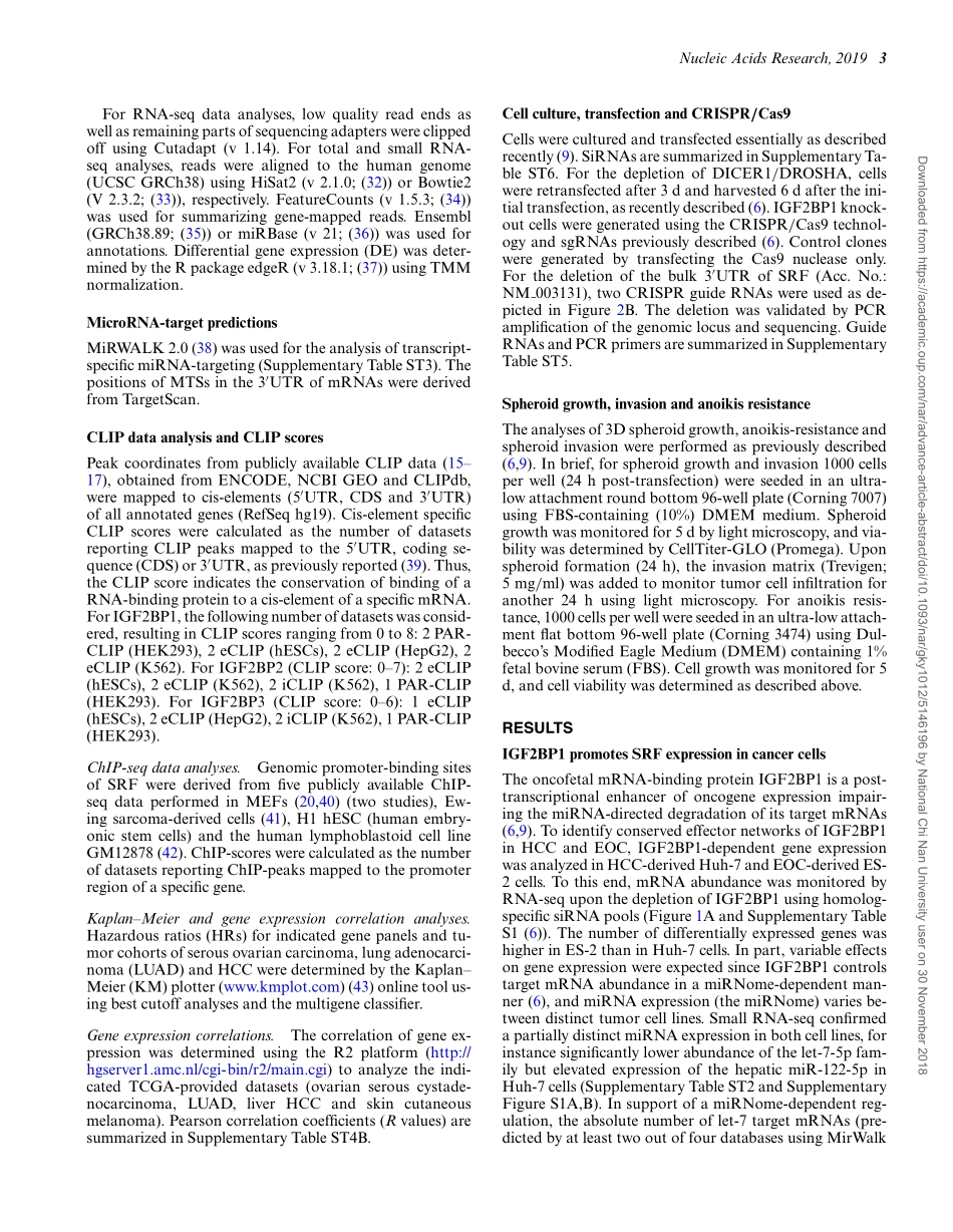 4、Nucleic Acids Res. 2019-IGF2BP1以m6A和miRNA依赖性方式促进癌症中的SRF依赖性转录.pdf_第3页