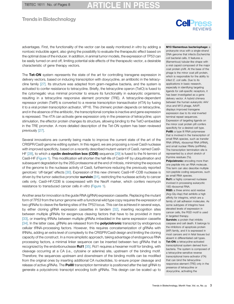 5、Trends Biotechnol. 2018-用CRISPRCAS9修复p53缺陷肿瘤细胞的p53“卫士”表型.pdf_第3页