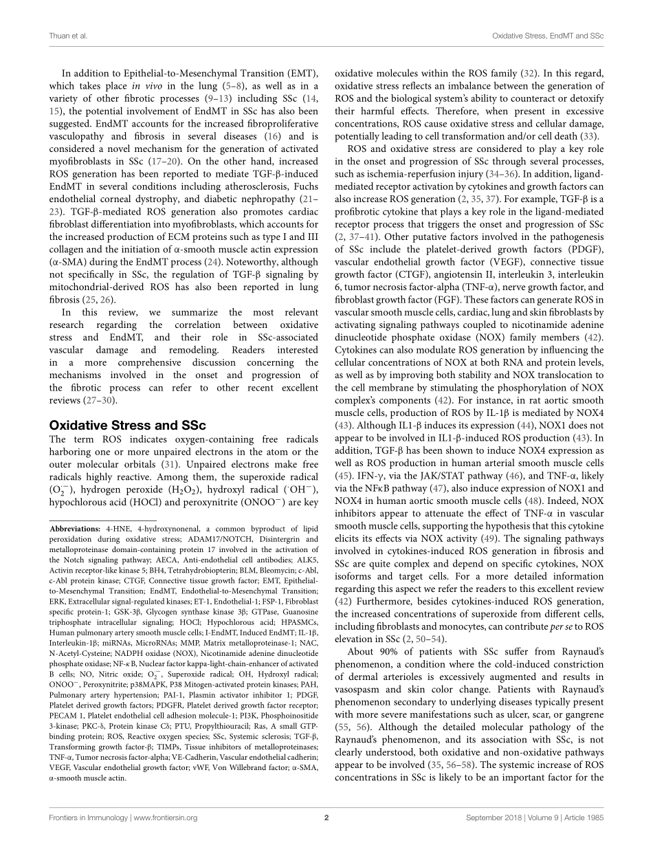 A Potential Link Between Oxidative Stress and Endothelial-to-Mesenchymal Transition in Systemic Sclerosis.pdf_第2页