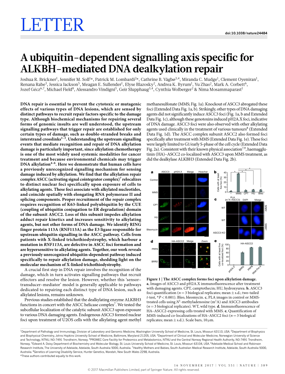 2017-Brickner-A ubiquitin-dependent signalling.pdf_第1页