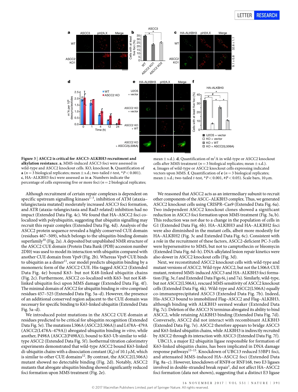 2017-Brickner-A ubiquitin-dependent signalling.pdf_第3页