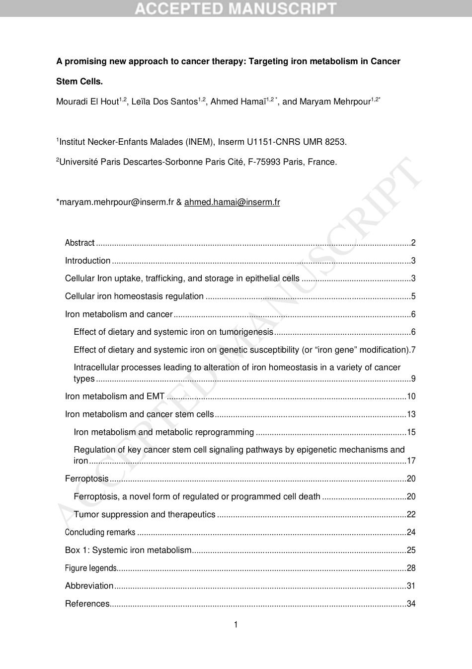 A promising new approach to cancer therapy- Targeting iron metabolism in Cancer Stem Cells.pdf_第2页