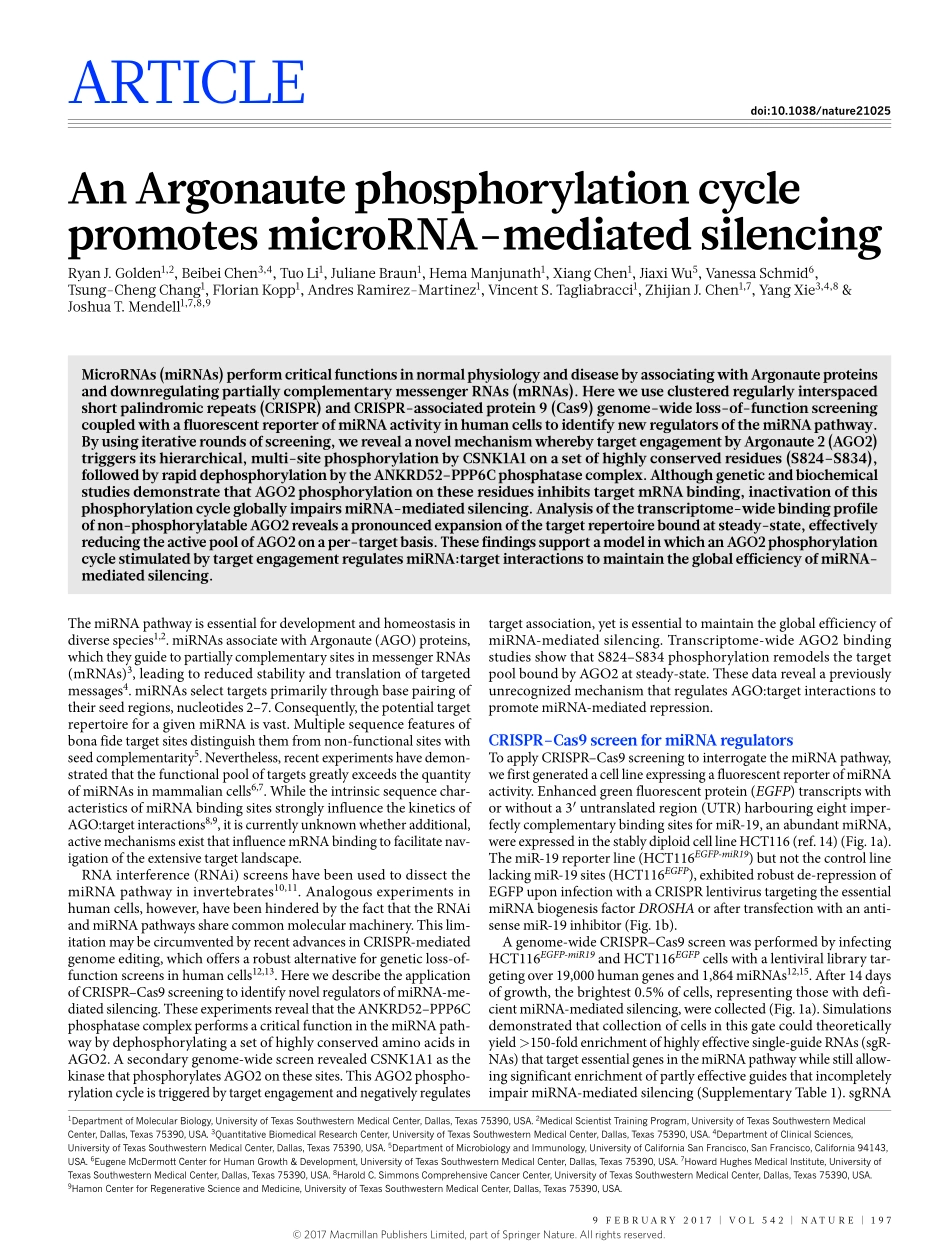 2017-Golden-An Argonaute phosphorylation cycle.pdf_第1页