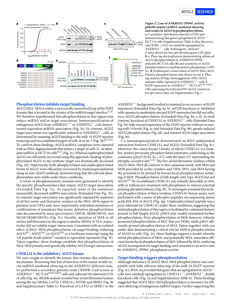 2017-Golden-An Argonaute phosphorylation cycle.pdf_第3页