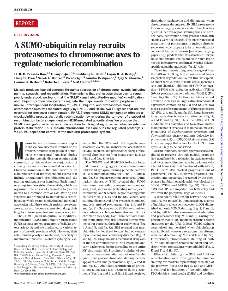 2017-Rao-A SUMO-ubiquitin relay recruits prote.pdf_第1页