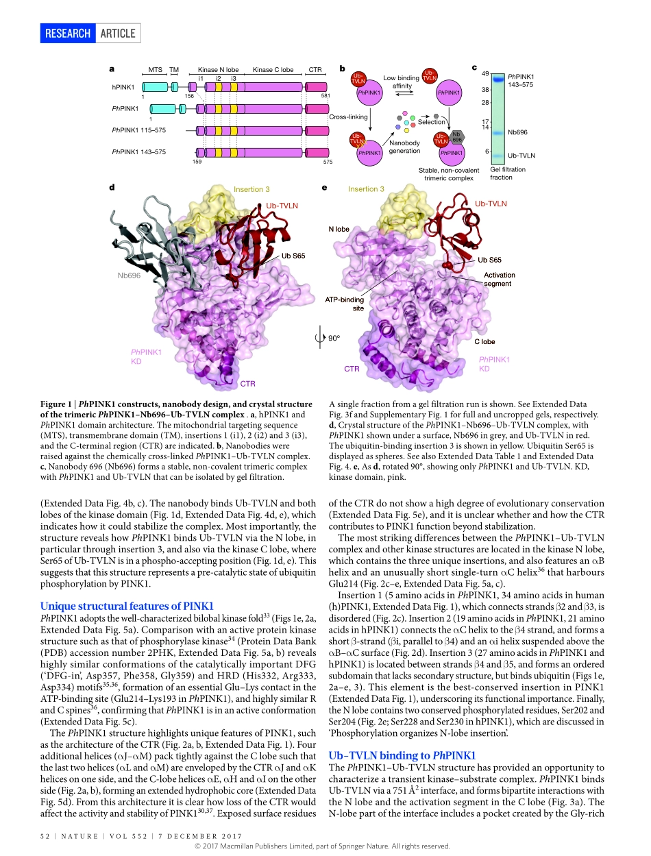 2017-Schubert-Structure of PINK1 in complex wi.pdf_第2页