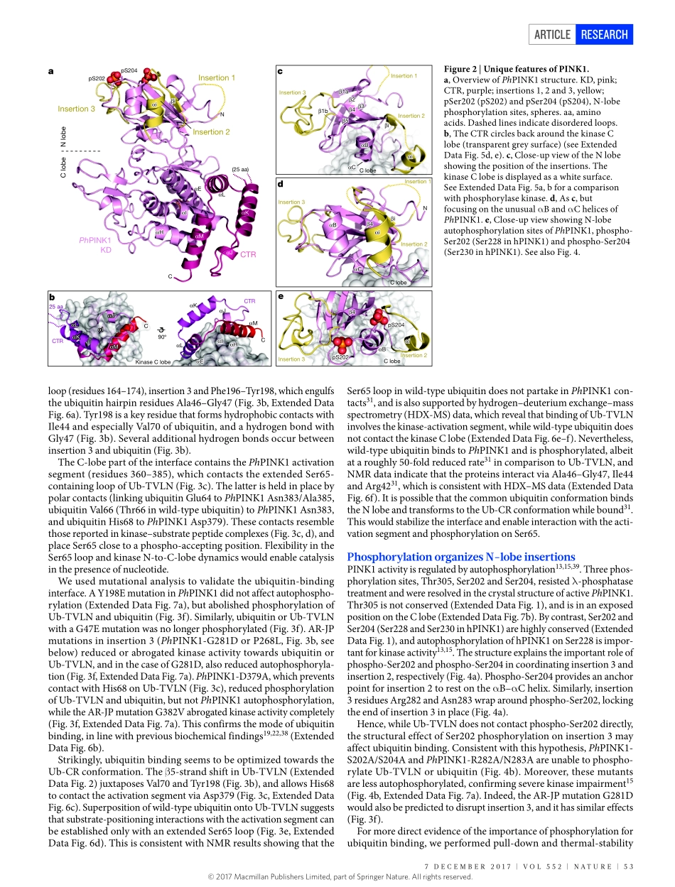 2017-Schubert-Structure of PINK1 in complex wi.pdf_第3页