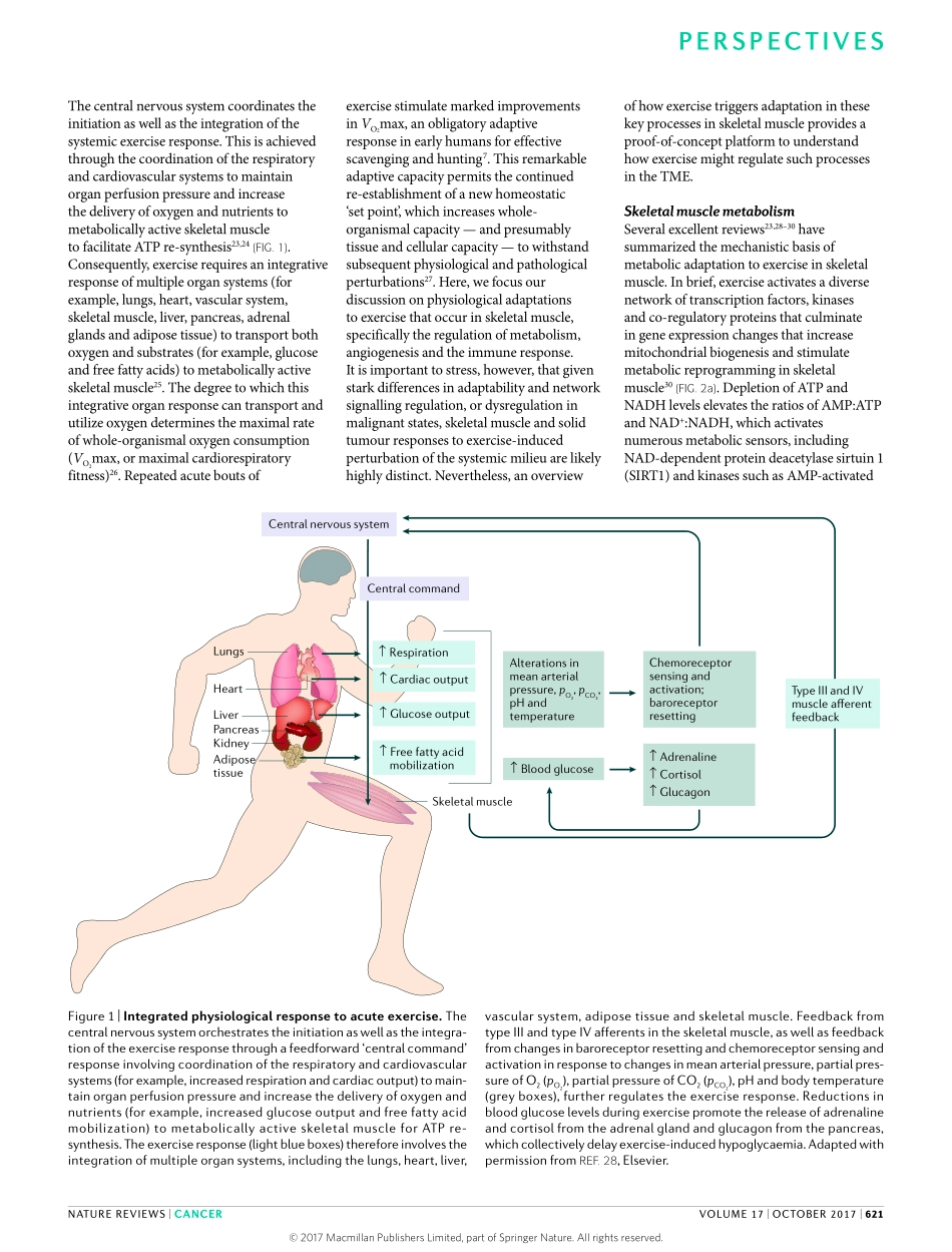 2017-Koelwyn-运动依赖性调节肿瘤微环境(1).pdf_第2页