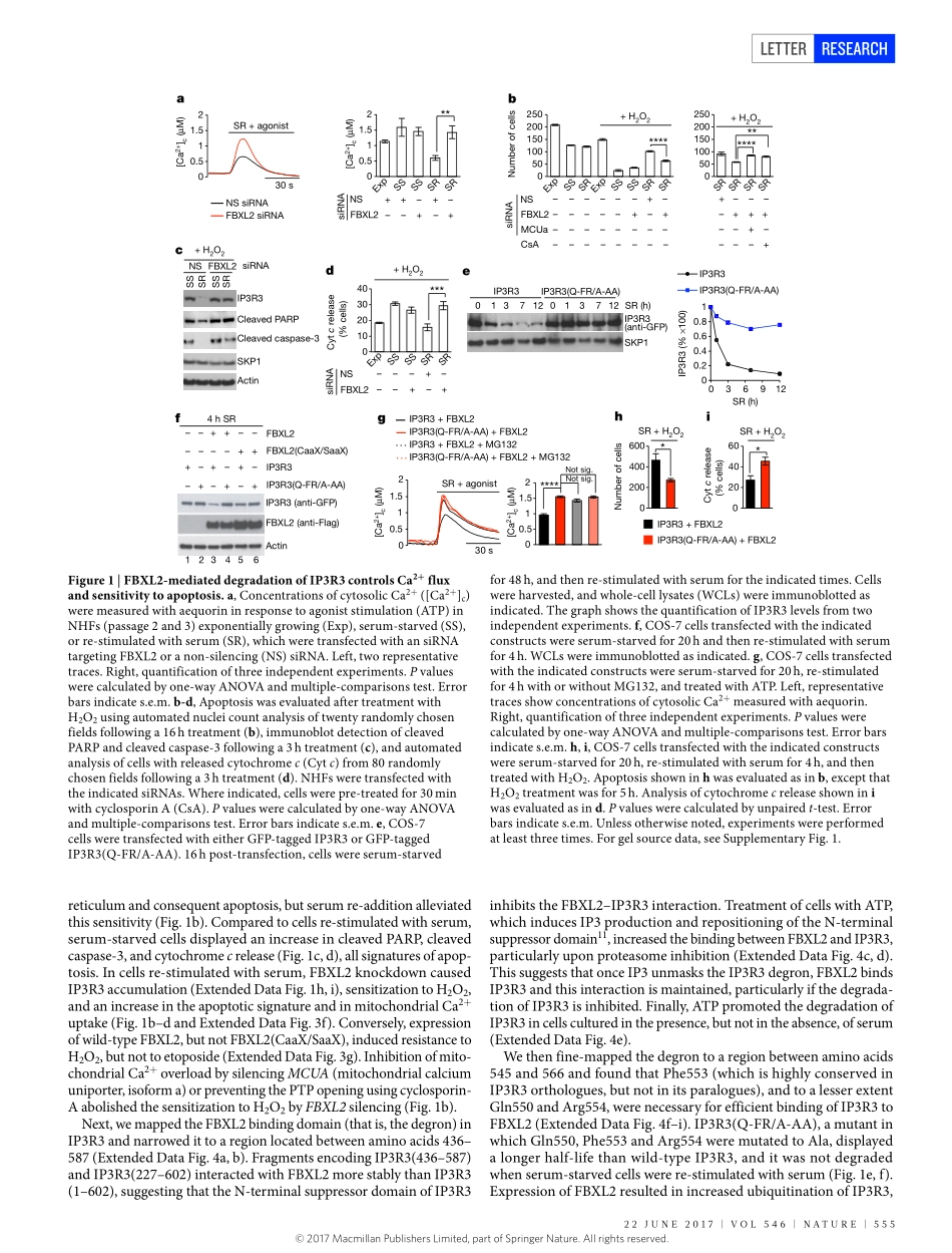 2017-Kuchay-PTEN counteracts FBXL2 to promote.pdf_第2页