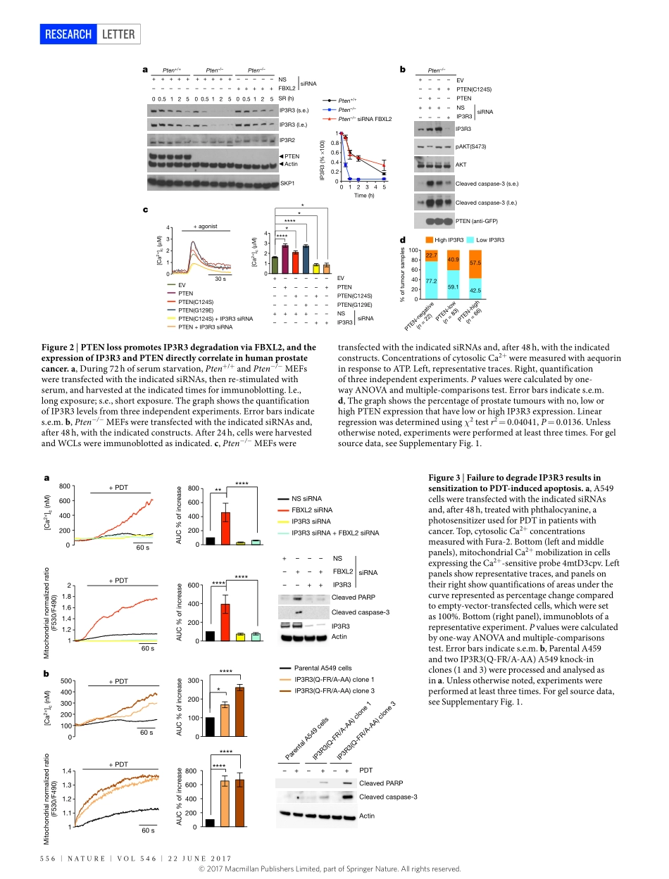 2017-Kuchay-PTEN counteracts FBXL2 to promote.pdf_第3页