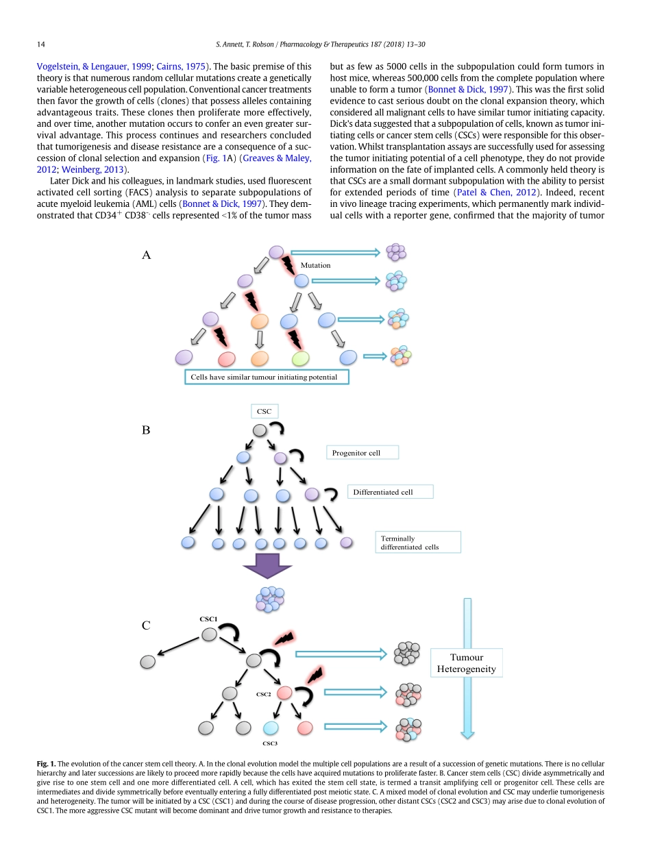Annett-2018-Targeting cancer stem cells in the.pdf_第2页