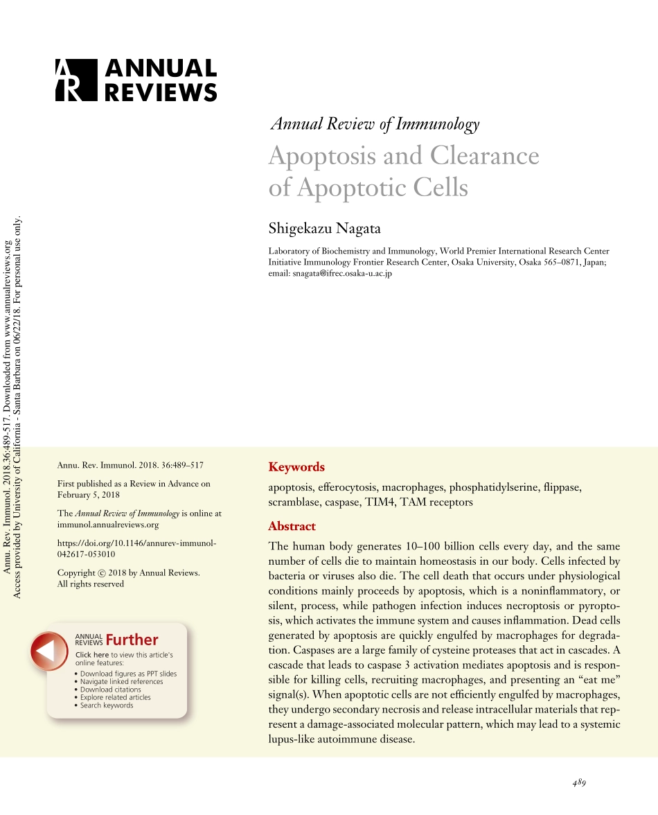 Annu. Rev. Immunol. 2018 细胞凋亡和凋亡细胞的清除.pdf_第1页