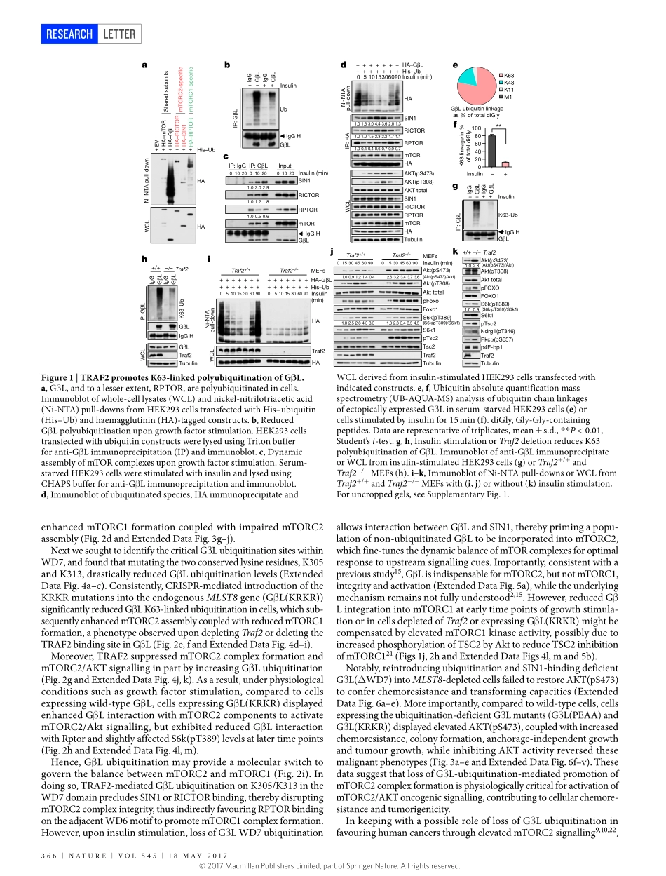 2017-Wang-TRAF2 and OTUD7B govern a ubiquitin-.pdf_第2页