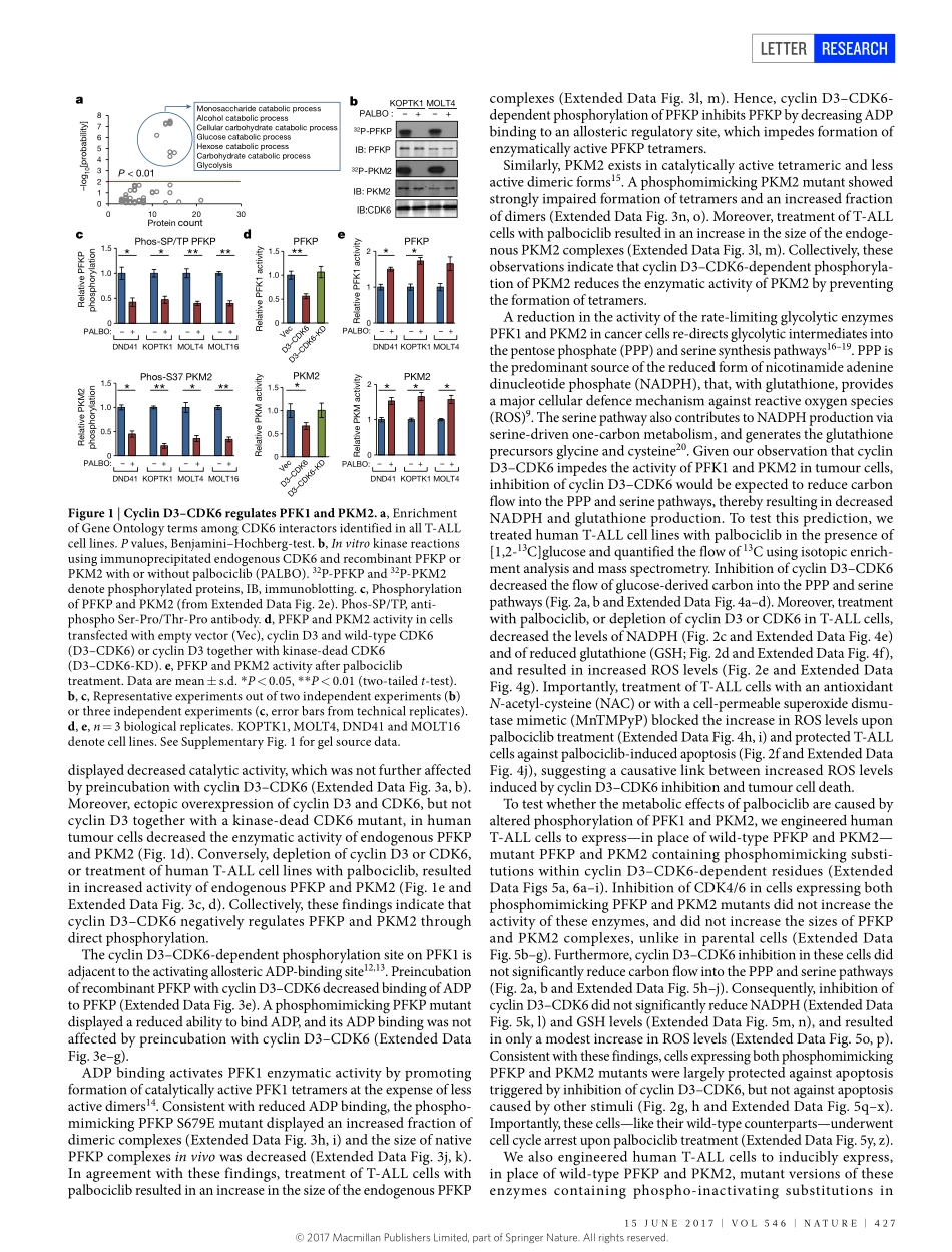2017-Wang-The metabolic function of cyclin D3-.pdf_第2页