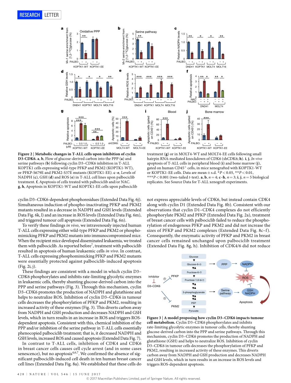 2017-Wang-The metabolic function of cyclin D3-.pdf_第3页