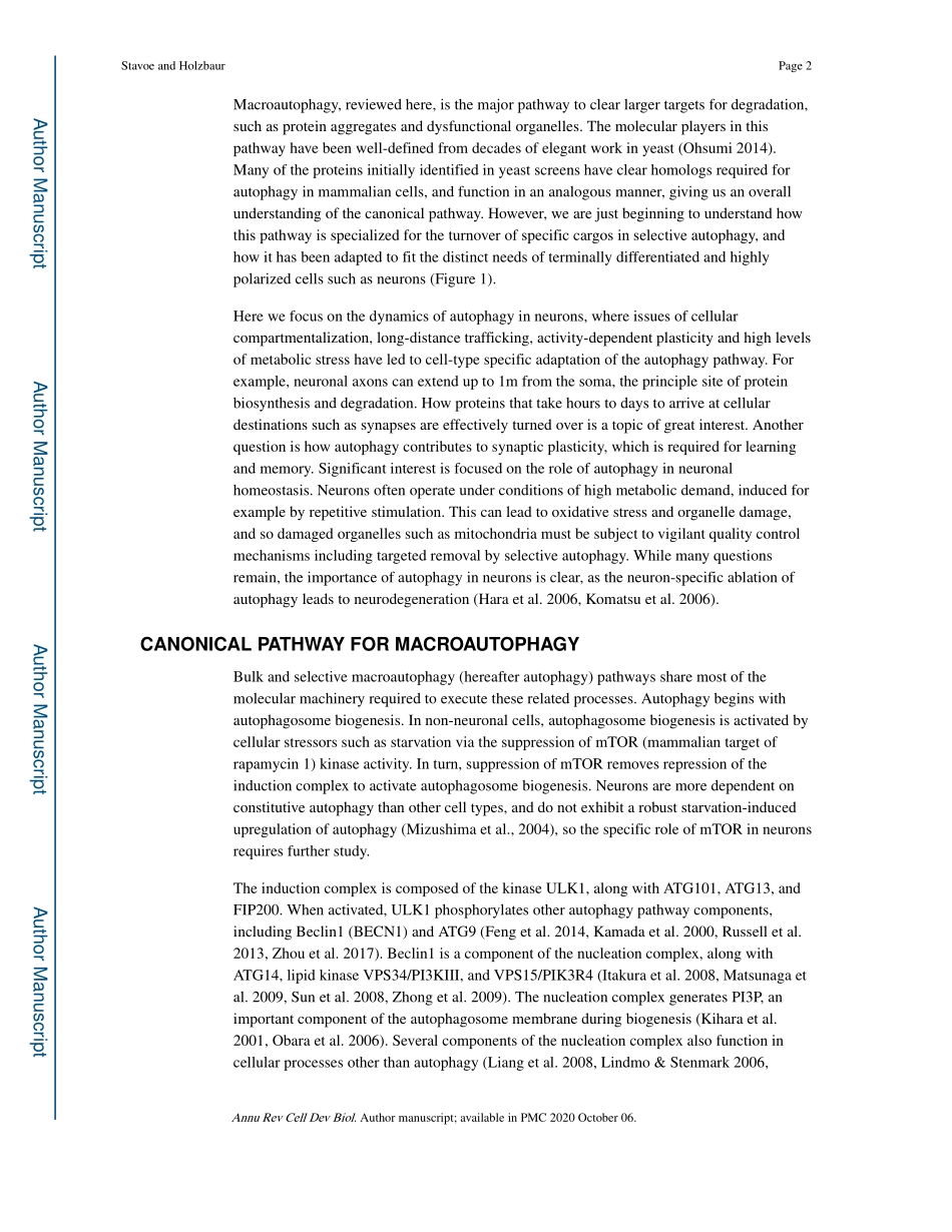 Autophagy in Neurons.pdf_第2页