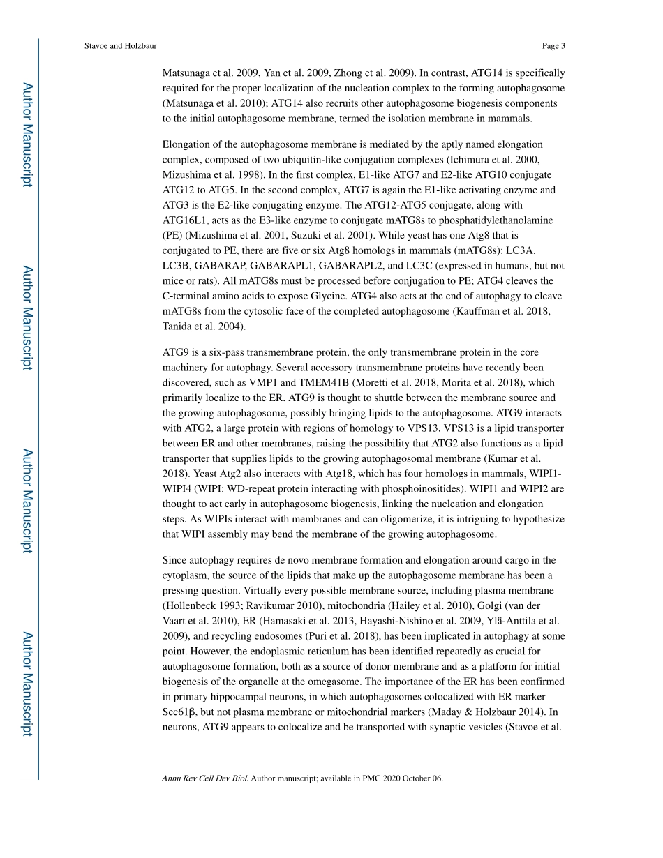 Autophagy in Neurons.pdf_第3页