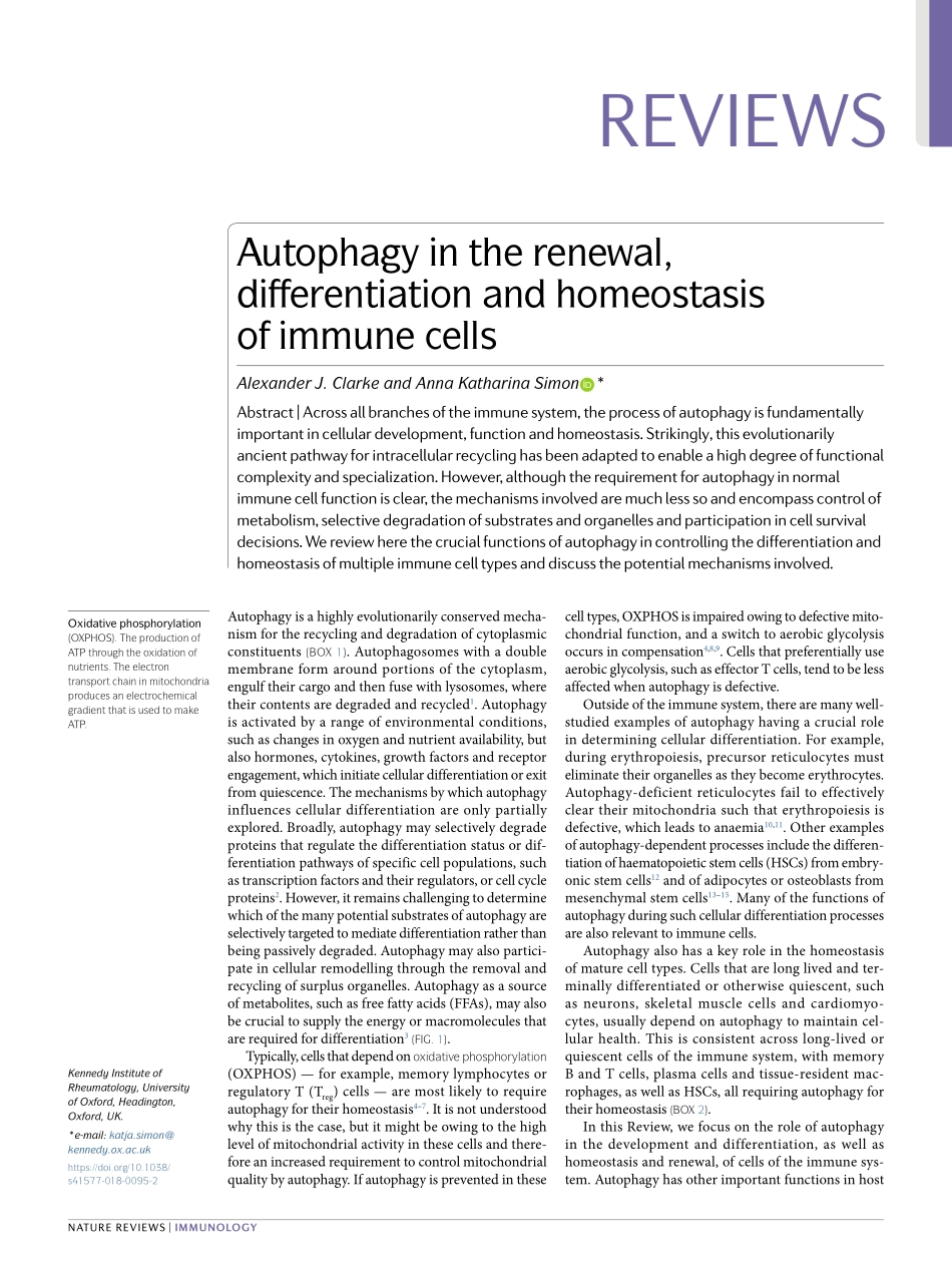 Autophagy in the renewal, differentiation and homeostasis of immune cells.pdf_第1页