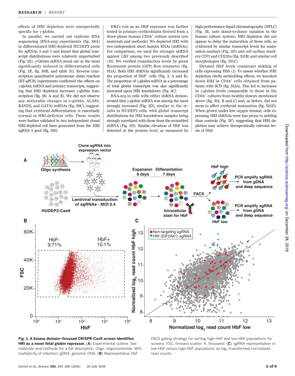 2018-Grevet-Domain-focused CRISPR screen ident.pdf_第2页