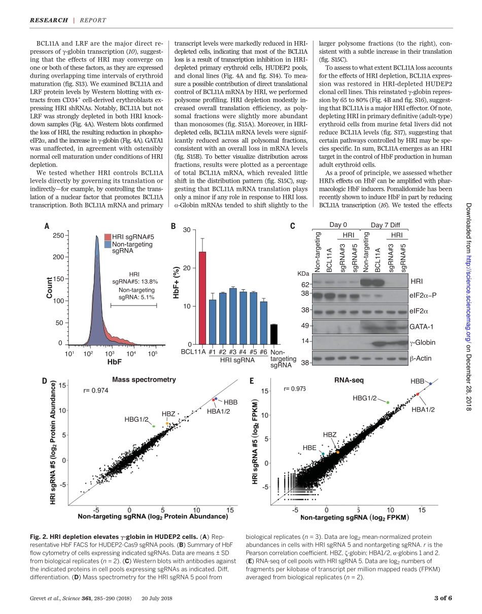 2018-Grevet-Domain-focused CRISPR screen ident.pdf_第3页