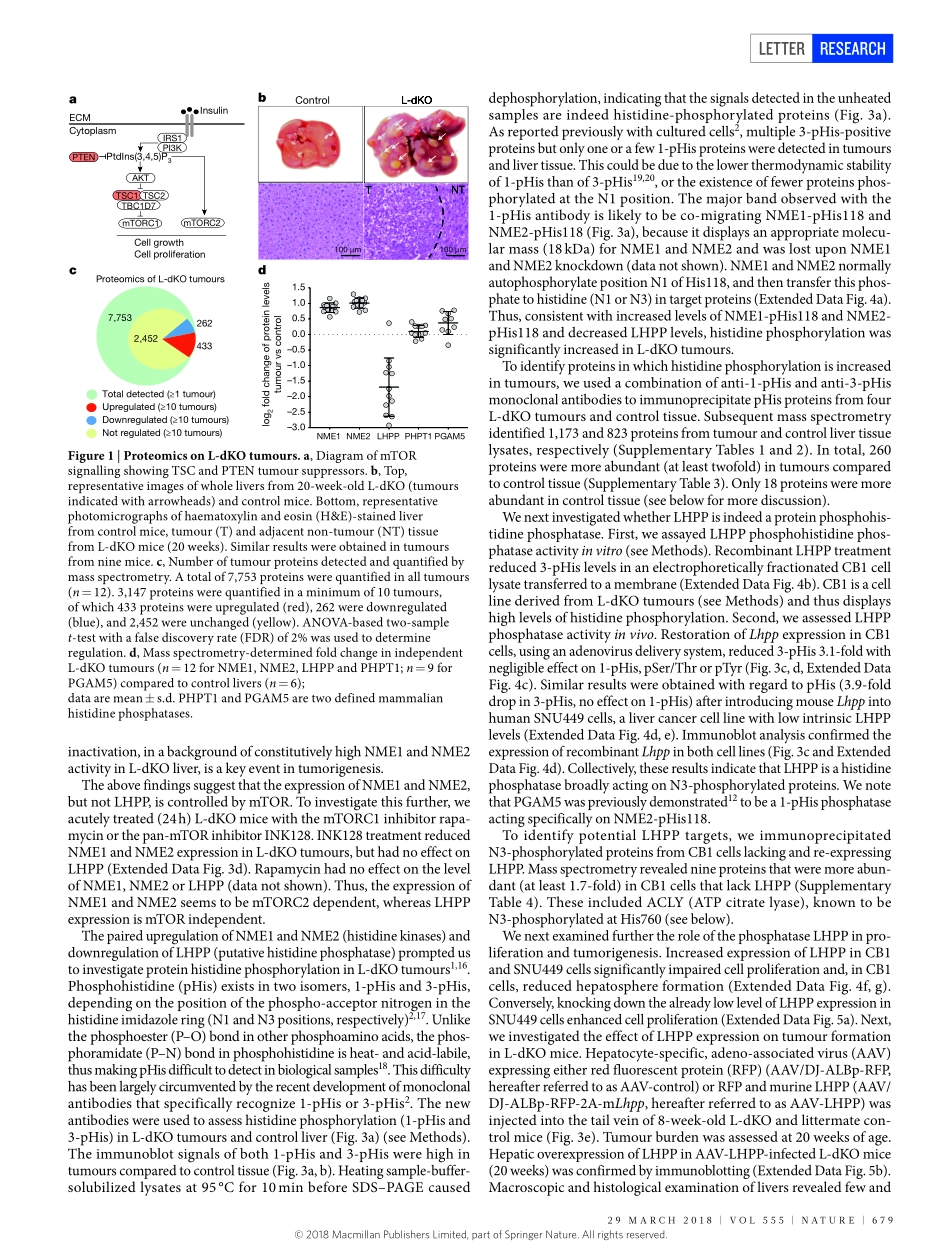 2018-Hindupur-The protein histidine phosphatas.pdf_第2页