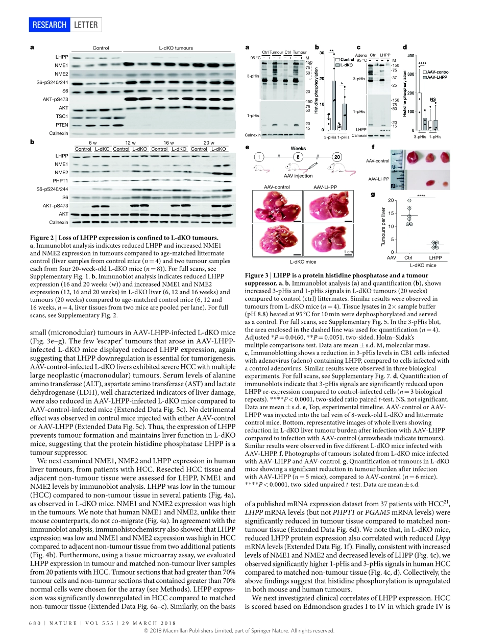 2018-Hindupur-The protein histidine phosphatas.pdf_第3页