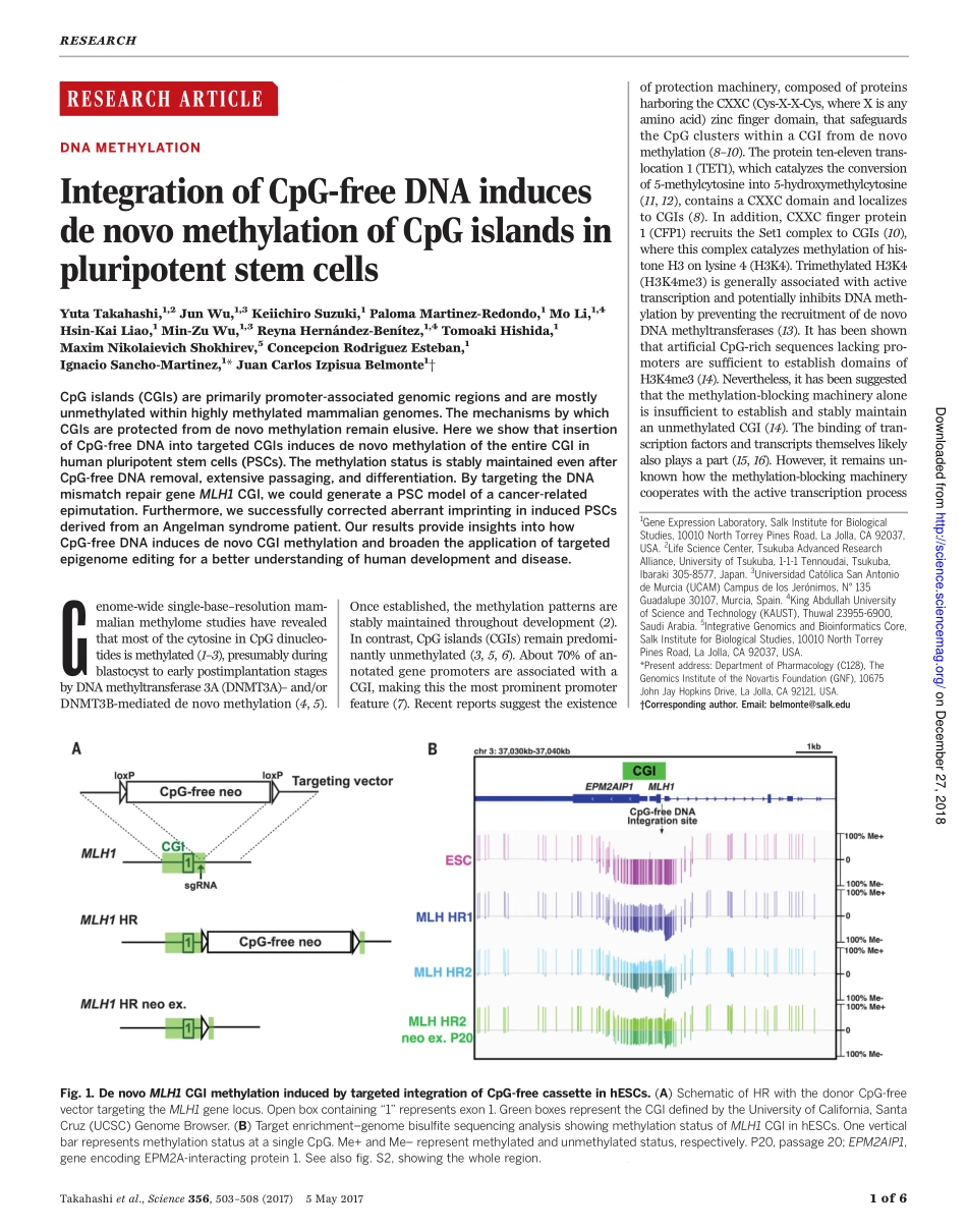 2017-无CpG DNA的整合诱导多能干细胞中CpG岛的从头甲基化.pdf_第1页