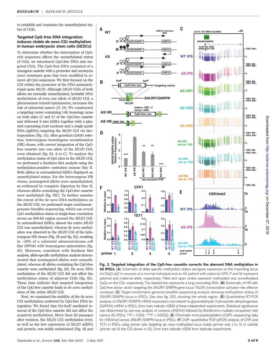 2017-无CpG DNA的整合诱导多能干细胞中CpG岛的从头甲基化.pdf_第2页