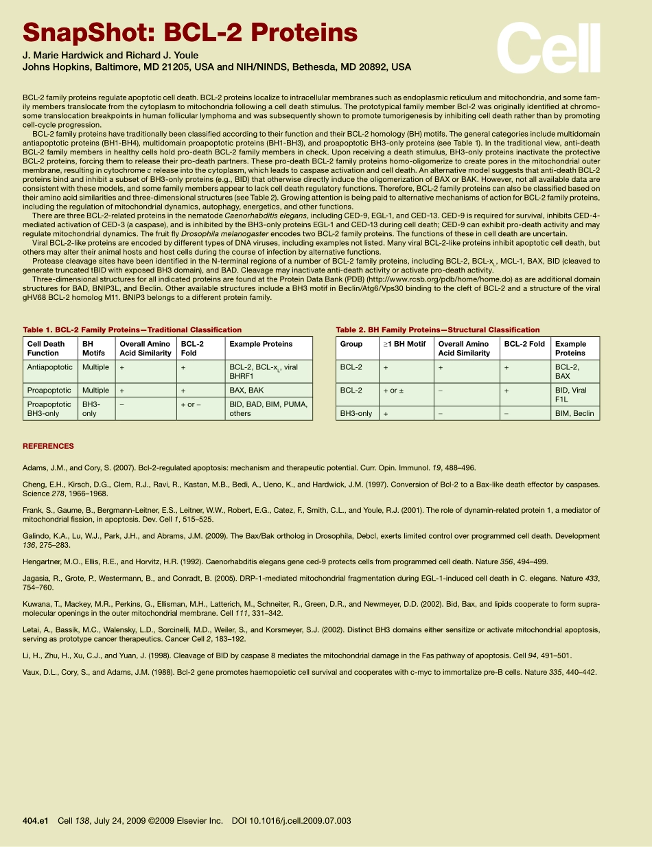 BCL-2 Proteins.PDF_第2页