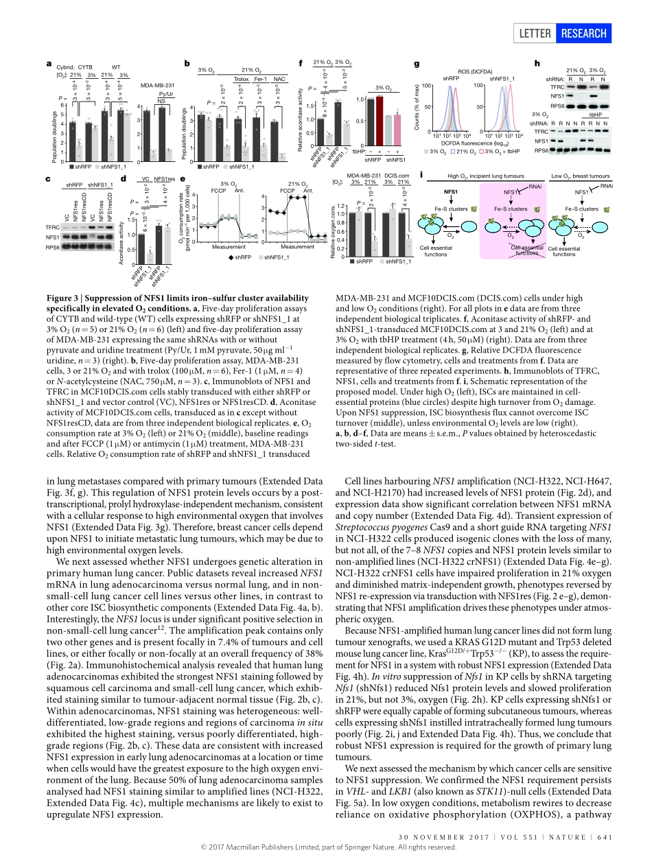 2018 nature-NFS1在肺肿瘤中经历阳性选择并保护细胞免于发生细胞凋亡.pdf_第3页