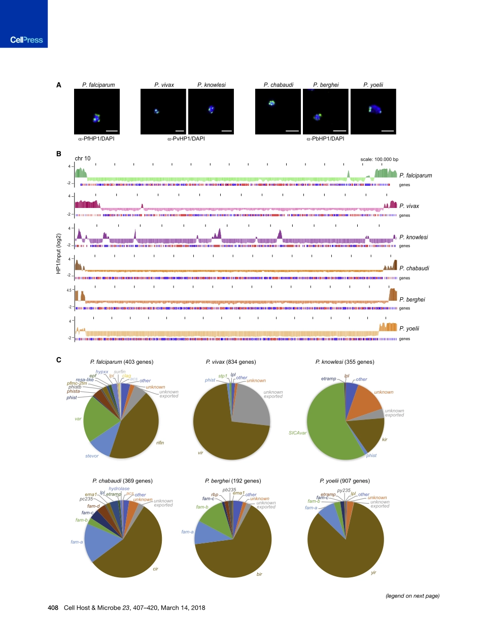 2018-比较异染色质分析显示保守和独特的表观基因组特征与疟疾寄生虫的适应和发展相关联.pdf_第3页