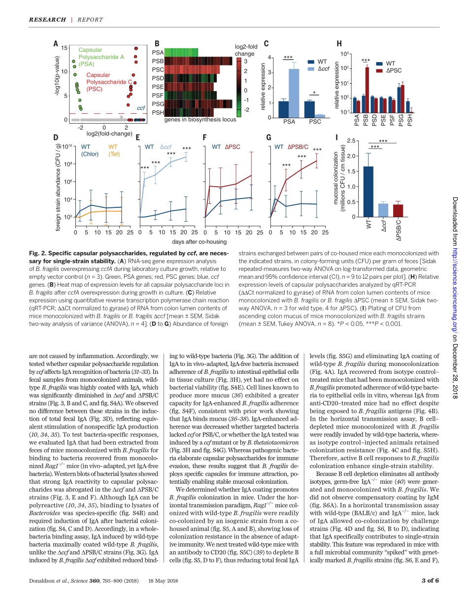 2018-肠道微生物群利用免疫球蛋白A进行粘膜定植.pdf_第3页