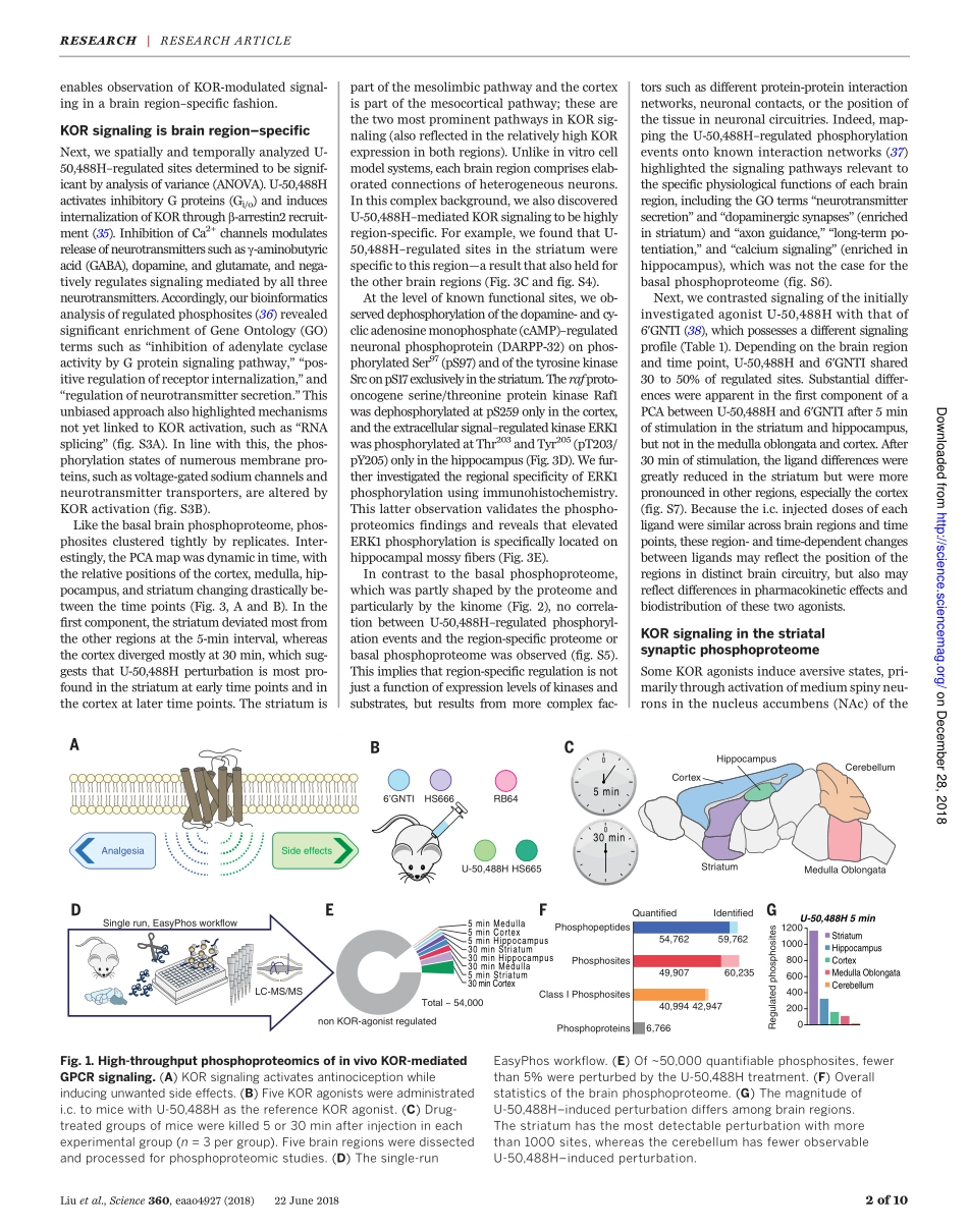 2018-Liu-In vivo brain GPCR signaling elucidat.pdf_第3页