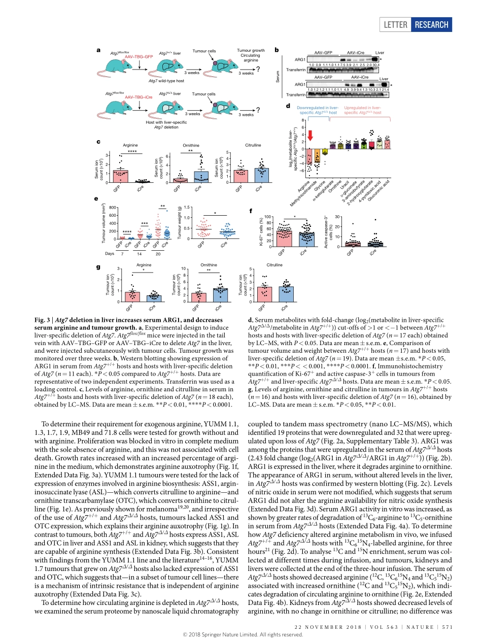 2018-Poillet-Perez-自噬通过循环精氨酸维持肿瘤生长.pdf_第3页