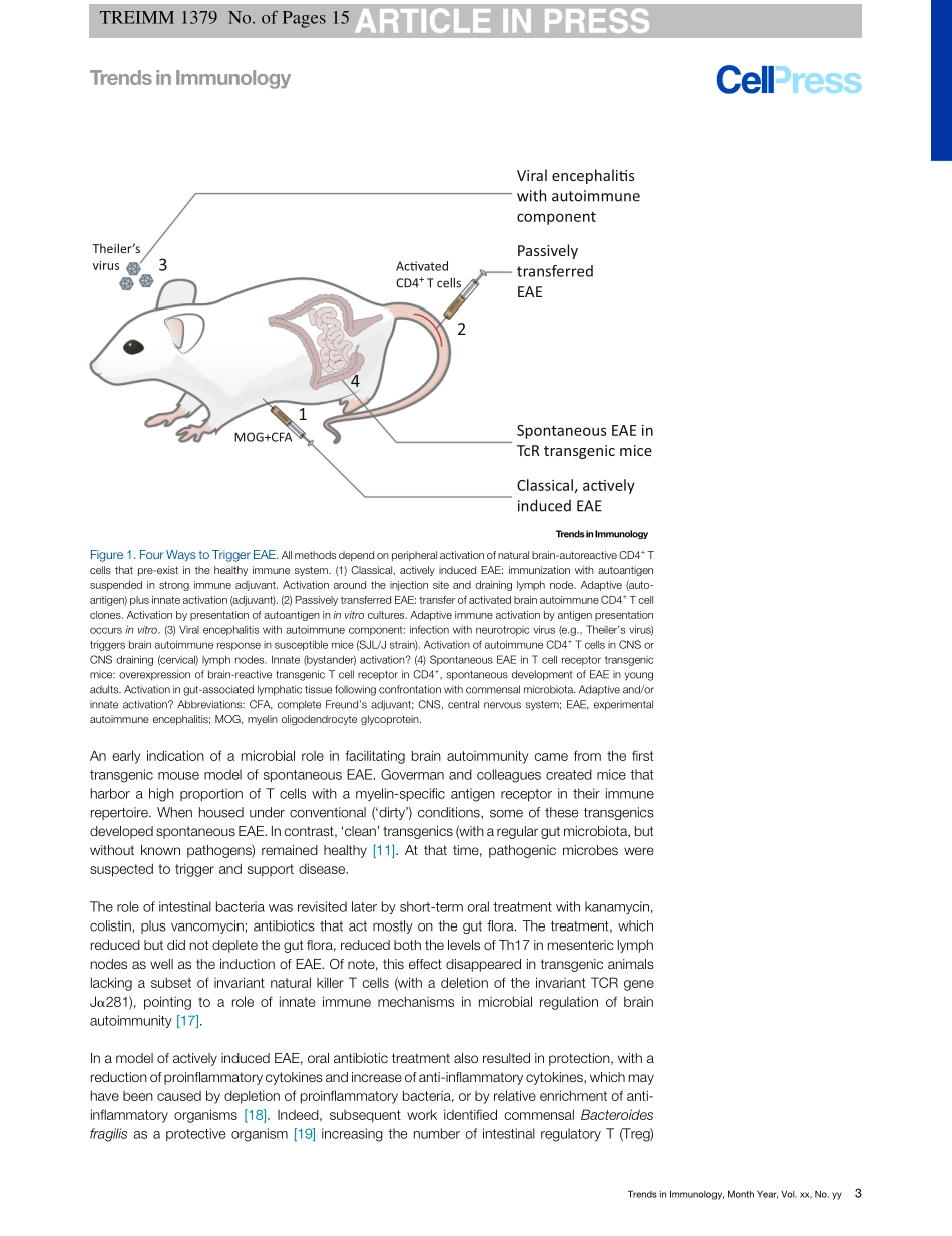 Brain Autoimmunity and Intestinal Microbiota-100 Trillion Game Changers.pdf_第3页