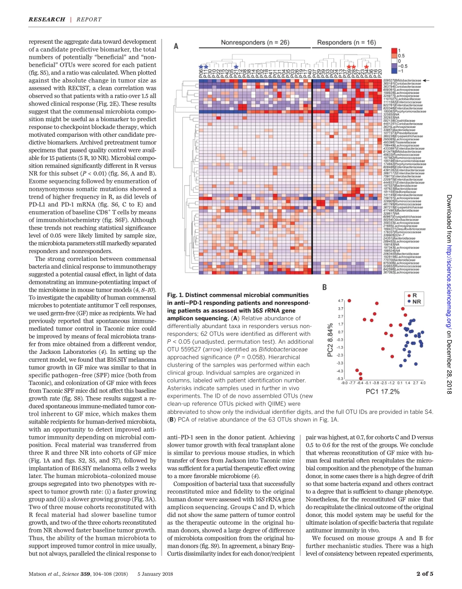 2018-共生微生物组与转移性黑素瘤患者的抗PD-1功效相关.pdf_第2页