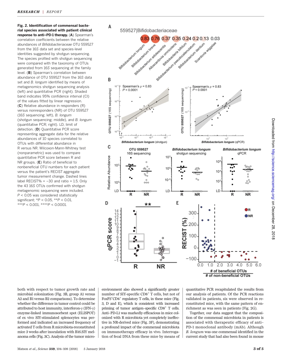 2018-共生微生物组与转移性黑素瘤患者的抗PD-1功效相关.pdf_第3页