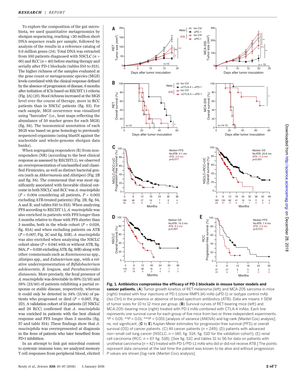 2018-肠道微生物组影响基于PD-1的免疫疗法对上皮肿瘤的功效.pdf_第2页
