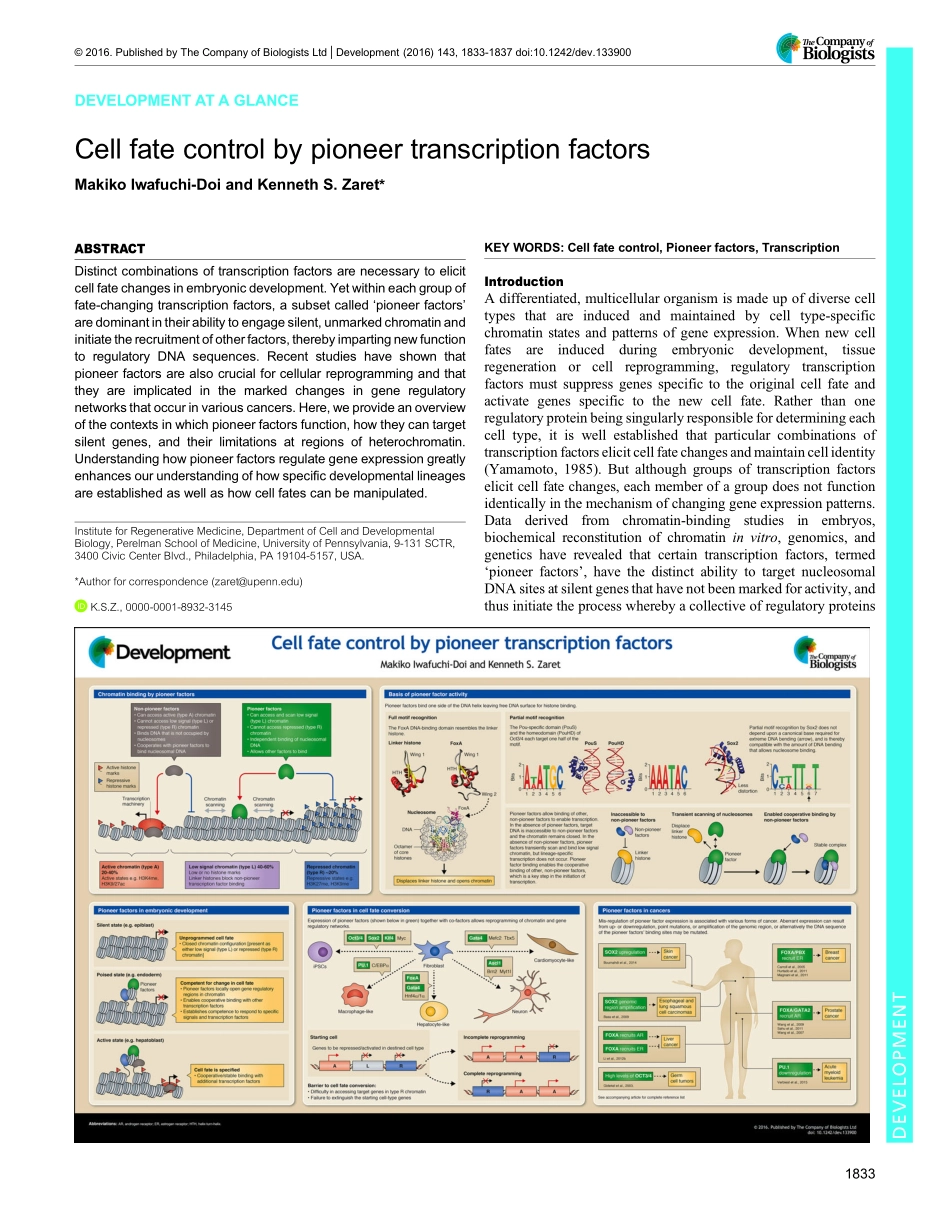 Cell fate control by pioneer transcription factors.pdf_第1页
