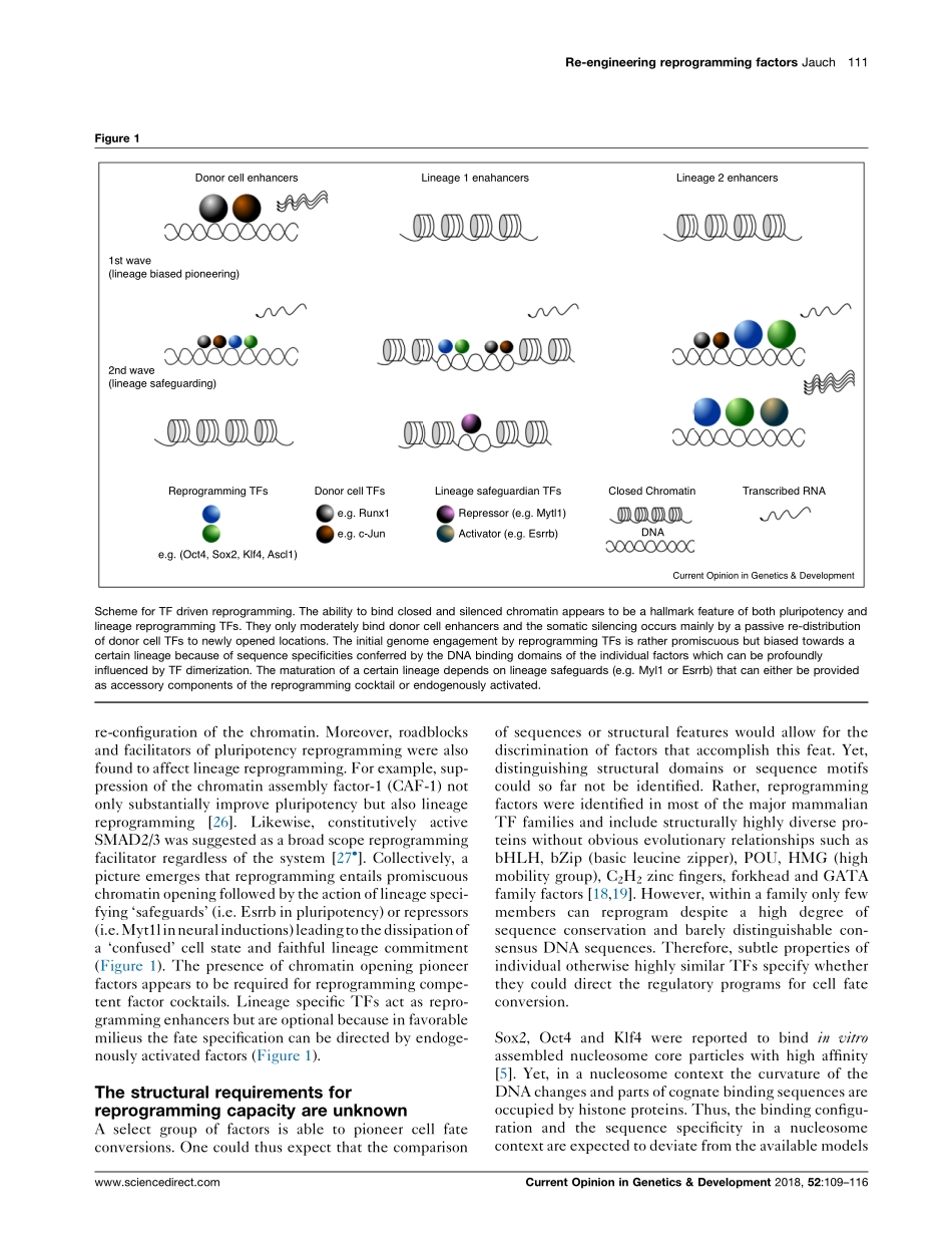 Cell fate reprogramming through engineering of native transcription factors.pdf_第3页