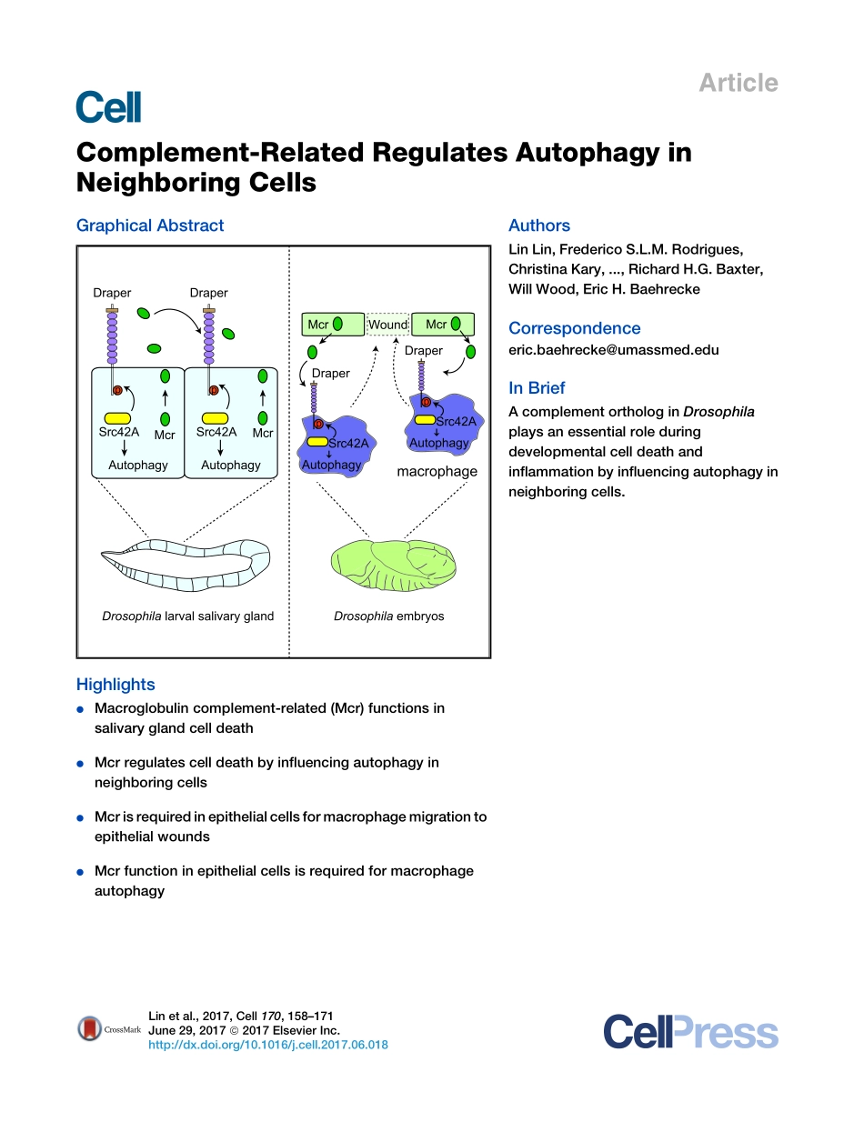 2017-Lin-补体相关调节邻近细胞中的自噬.pdf_第1页
