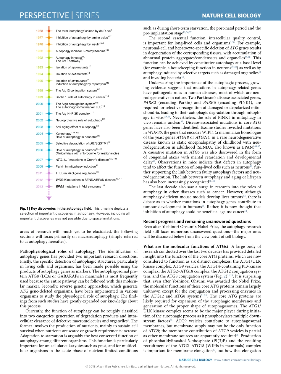A brief history of autophagy from cell biology to physiology and disease.pdf_第2页