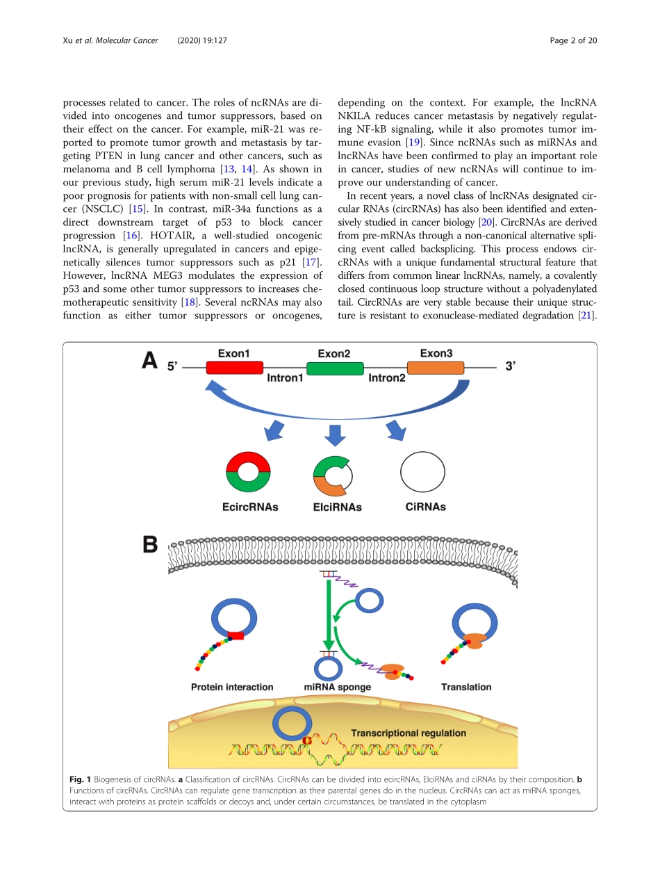 CircRNAs in anticancer drug resistance recent.pdf_第2页